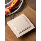 Выключатель одноклавишный СП 10А бежевый Минск