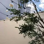 Гирлянда "Белт Лайт" серия Holiday для сменных ламп Е27, 10 ламп, 8 м, IP65, черный, 1/8 | HL070 | Gauss