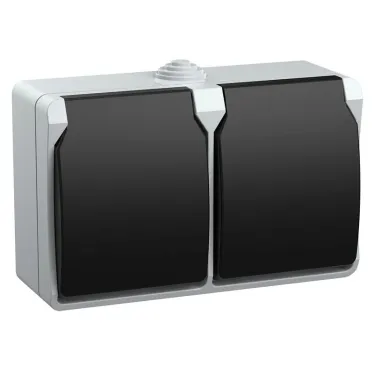 ФОРС Розетка двойная наружная с заземлением с крышкой IP54