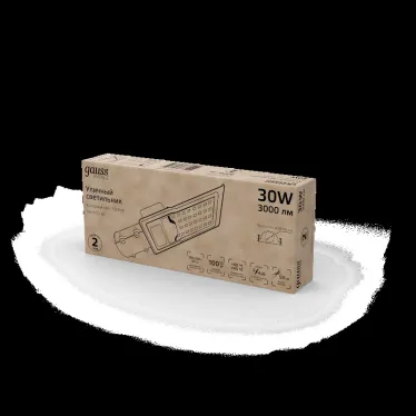 Светильник уличный консольный ДКУ 30 Вт 3000 лм 5000К AC 220В IP65 316х130х57мм широкая КСС Ш Avenue Gauss