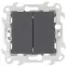 Выключатель двухклавишный Push@Go, графит