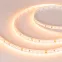 Лента RT-A120-8mm 24V Warm2400 (14.4 W/m, IP20, 2835, 5m) (, Открытый)