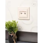 Розетка RJ-45+Phone СП бежевый Минск