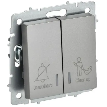 BRITE Выключатель 2-клавишный с индикацией для отелей 10А ВС10-2-9-БрС сталь IEK