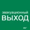 Этикетка самоклеящаяся 150х150мм ''Эвакуационный выход'' IEK