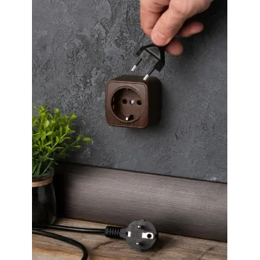Розетка 1-местная ОП Минск 16А с заземлением темное дерево