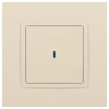 Выключатель с подсветкой, 10АХ-250В, Эра Elegance, сл.кость,14-1102-02