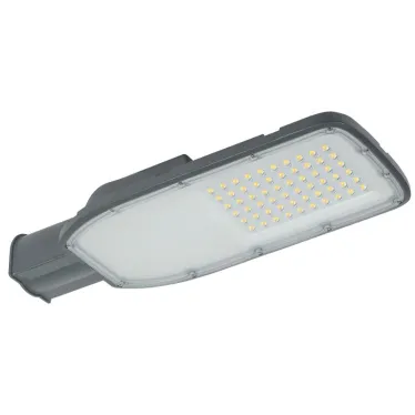 Светильник LED консольный уличный ДКУ 1004-100Ш 5000К IP65 серый