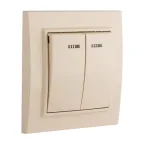 Выключатель двухклавишный СП Минск с индикатором 10А бежевый