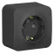 BLANCA розетка наружная с заземлением со шторками, 16А, 250В, антрацит
