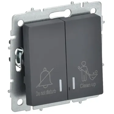 BRITE Выключатель 2-клавишный с индикацией для отелей 10А ВС10-2-9-БрГ графит IEK