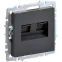 BRITE Розетка компьютерная двойная RJ45 кат.6 РК11-2-БрГ графит IEK