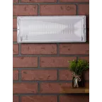 Светильник аварийного освещения SAFEWAY-40 LED EKF Proxima