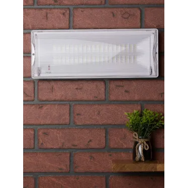 Светильник аварийного освещения SAFEWAY-40 LED EKF Proxima