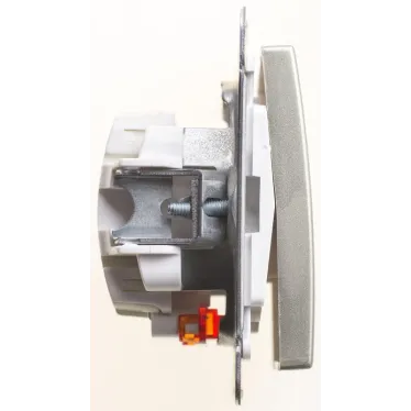 W59 Переключатель одноклавишный с подсв. 10АХ, механизм, шампань