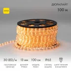 Дюралайт LED, постоянное свечение 2W - желтый, 30 LED/м, 100 м