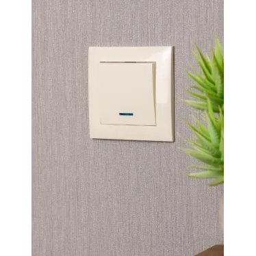 Валенсия выключатель 1-кл. 10А кремовый с индикатором