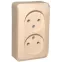 ЭТЮД Розетка двойная наружная без заземления без шторок Сосна