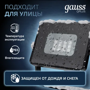 Прожектор светодиодный LED Qplus 10W IP65 6500K | 613511310 | Gauss