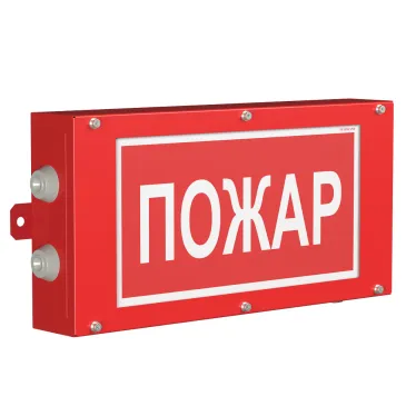 Световой указатель аварийного освещения BS-CANRON-10-S1-24 | a15578 | Белый свет