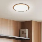 Светильник потолочный светодиодный Классик с ДУ SPB-6-70-RC Saturn 70Вт 3000-6500К 5950Лм коричневый кант