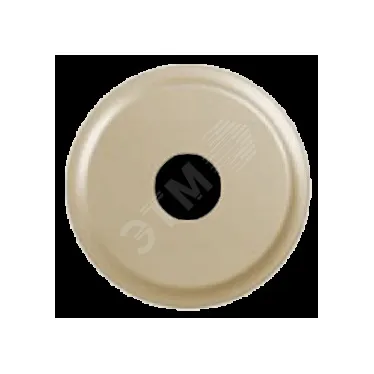 Celiane Сл. кость Накладка TV розетки | 066231 | Legrand