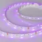 Лента LED RT 2-5000 12V RGB (5060, 150 LED, LUX) ARL, 7.2 Вт/м, IP20)