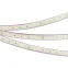 Лента герметичная RTW-PFS-B60-13mm 24V Day5000 (14.4 W/m, IP68, 5060, 5m) (, 14.4 Вт/м, IP68)