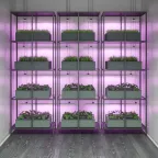 Светильник светодиодлный для растений (фитосветильник) ДПО 12 Вт IP20 865х25х37 мм Fito Gauss