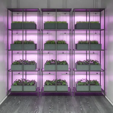 Светильник светодиодлный для растений (фитосветильник) ДПО 12 Вт IP20 865х25х37 мм Fito Gauss