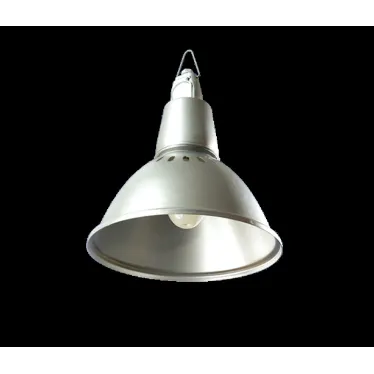 Светильник НСП-17-200-001 без стекла IP20