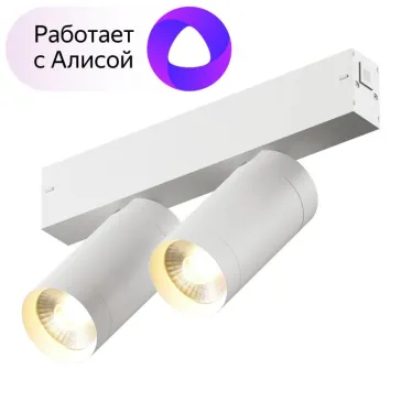 Светильник акцентный SMART SPOT DOUBLE 2х9 Вт DIM 3000 К-6000 К бел. DENKIRS DK8012-WH