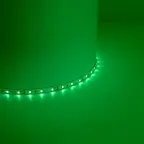 Лента светодиодная LEDх60/м 5м 4.8w/m 12в зеленый