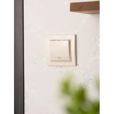 Выключатель одноклавишный СП Минск с индикатором 10А бежевый