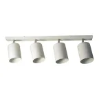 Светильник Спот НПБ 01-4х60-513 бел.матовый/белый ИУ