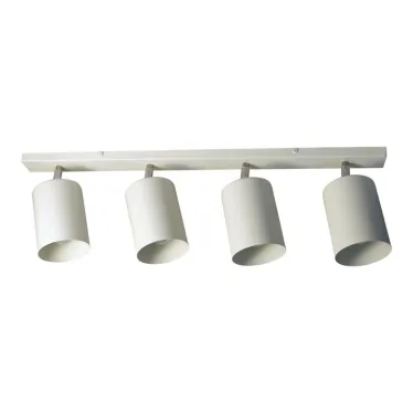 Светильник Спот НПБ 01-4х60-513 бел.матовый/белый ИУ