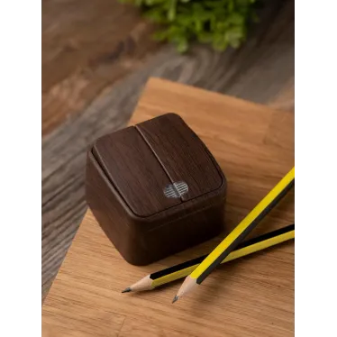 Выключатель двухклавишный ОП Минск 10А с индикатором темное дерево