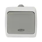 Выключатель 1-клавишный с индикатором 10А Мурманск серый