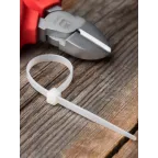 Хомут P6.6 стандартный белый 4.6x120 (100шт) FlexLock PROxima