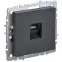 BRITE Розетка компьютерная RJ45 кат.5E РК10-БрГ графит