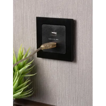 Стокгольм Механизм Розетки USB 2-местной 2,1А черный