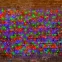 Гирлянда "Светодиодный Дождь" 2х1,5м, прозрачный провод, 230 В, диоды RGB, 300 LED свеч.с динамикой при приобр.контрол.245-907 | 245-309 | NEON-NIGHT