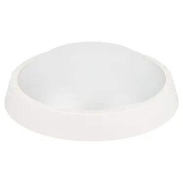 Светильник светодиодный ДБП ЖКХ SPB-203-0-40К-024 24Вт 2040Лм 4000К IP65 D320мм КРУГ ЭРА