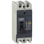 Выключатель автоматический двухполюсный EZC100 30 KA/380В 2Т 60 A