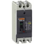 Выключатель автоматический двухполюсный EZC100 30 KA/380В 2Т 60 A