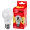 Лампа светодиодная 8 Вт груша теплый белый свет RED LINE LED A55-8W-827-E27 R Е27 / E27 ЭРА
