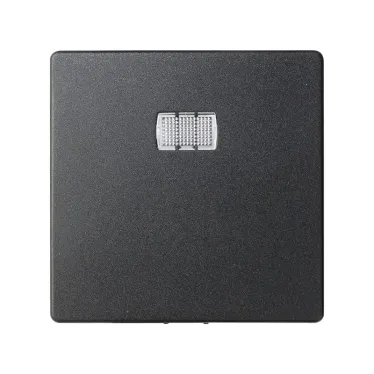 Клавиша для 75160-,75804-39 (под пиктограммы 82972-,82982-), S82,82N, графит