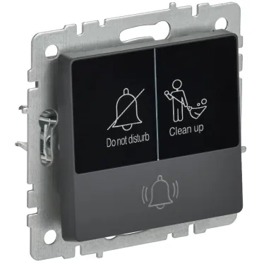 BRITE Кнопка звонка с индикацией для отелей 10А ВС10-1-9-БрГ графит IEK