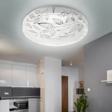 Светильник потолочный светодиодный Классик без ДУ SPB-6-12-6,5K Syuzi 12Вт 6500K | Б0054072 | ЭРА