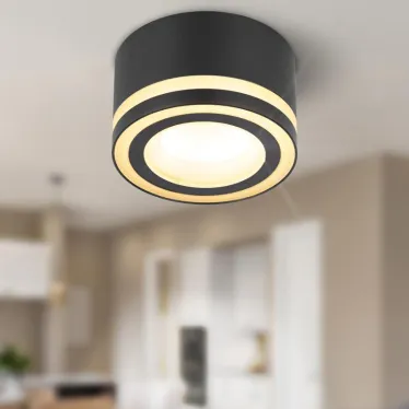 Светильник настенно-потолочный спот OL51 BK GX53 IP20 черный